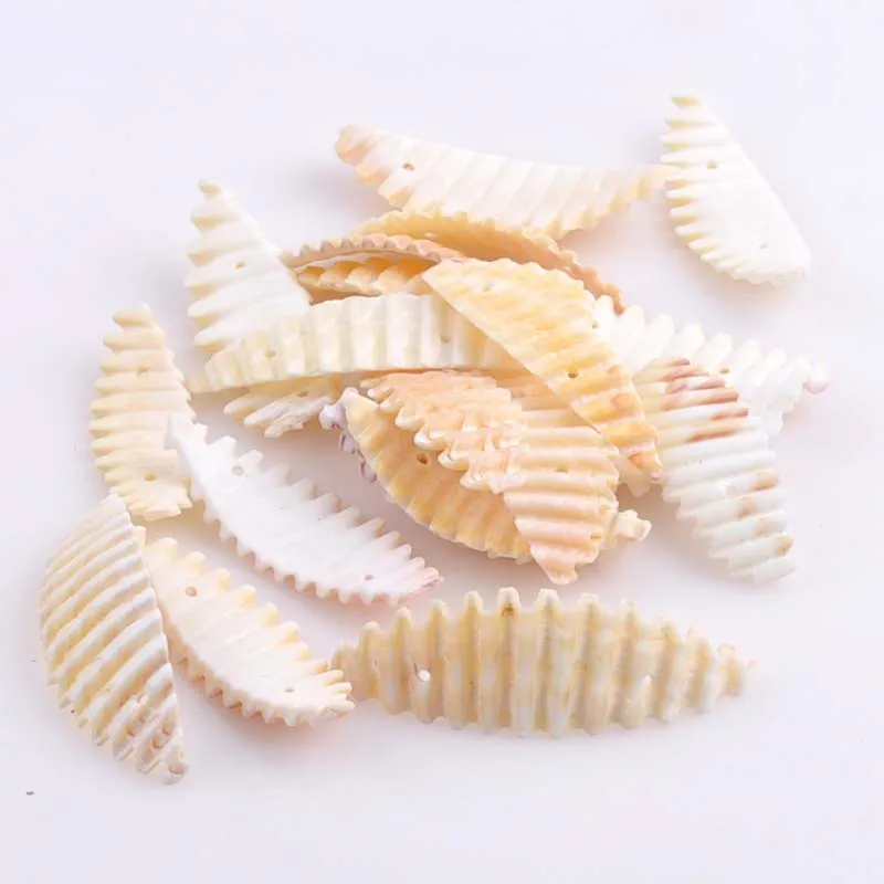 

Spiral Sea Shell Flatback Loose Beads Trumpet Shell with 2 Holes Craft Jewelry Making DIY 40pcs 39-43mm TRS0129