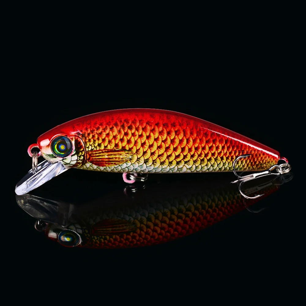 DW1161-C