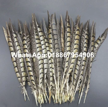 

Free Shipping 30-35cm 12-14 inches 100pcs Natural Brown Lady danceing pheasant tails Side pheasant feather