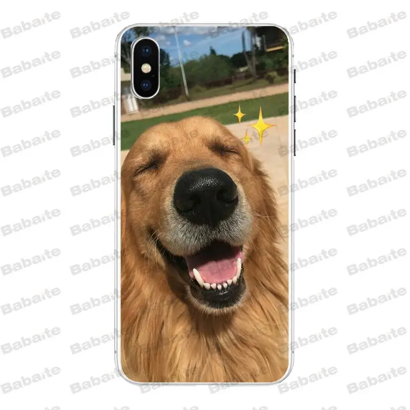 Супермилый чехол для телефона Babaite с золотистым ретривером iPhone X Xs Xr XsMax 6 6s Plus 7 7plus 8