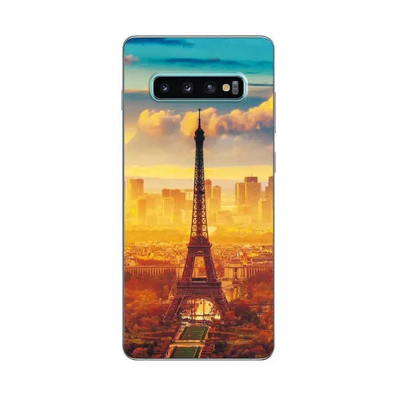 Для samsung Galaxy S10 5G силиконовый чехол Galaxy S10 задняя крышка цветы окрашенный чехол для телефона samsung S10 5G версия 6,7 дюймов - Цвет: Y18
