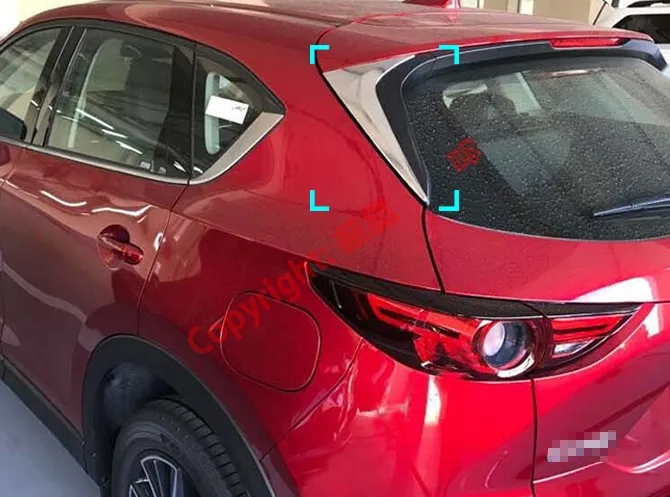 17CX-5 hcst-1