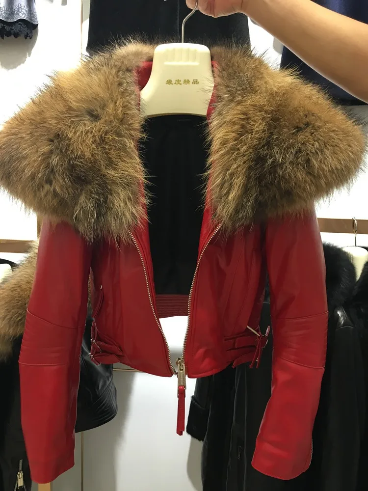 Женская куртка из овечьей кожи, модная женская короткая куртка из натуральной овчины с воротником из меха енота, черная, красная верхняя одежда, dhl - Цвет: red