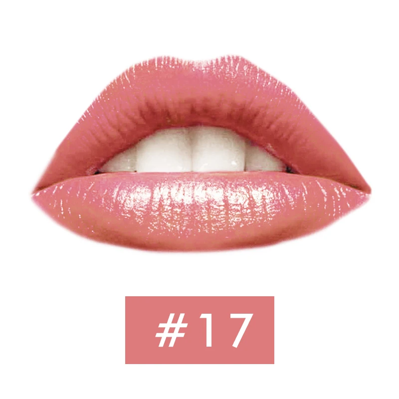 Aojoc, 20 цветов, брендовая водостойкая губная помада, ТИНТ, блеск для губ, насадка для пениса, помада для губ, стойкий блеск для губ, комплект, макияж губ, косметика - Цвет: 17