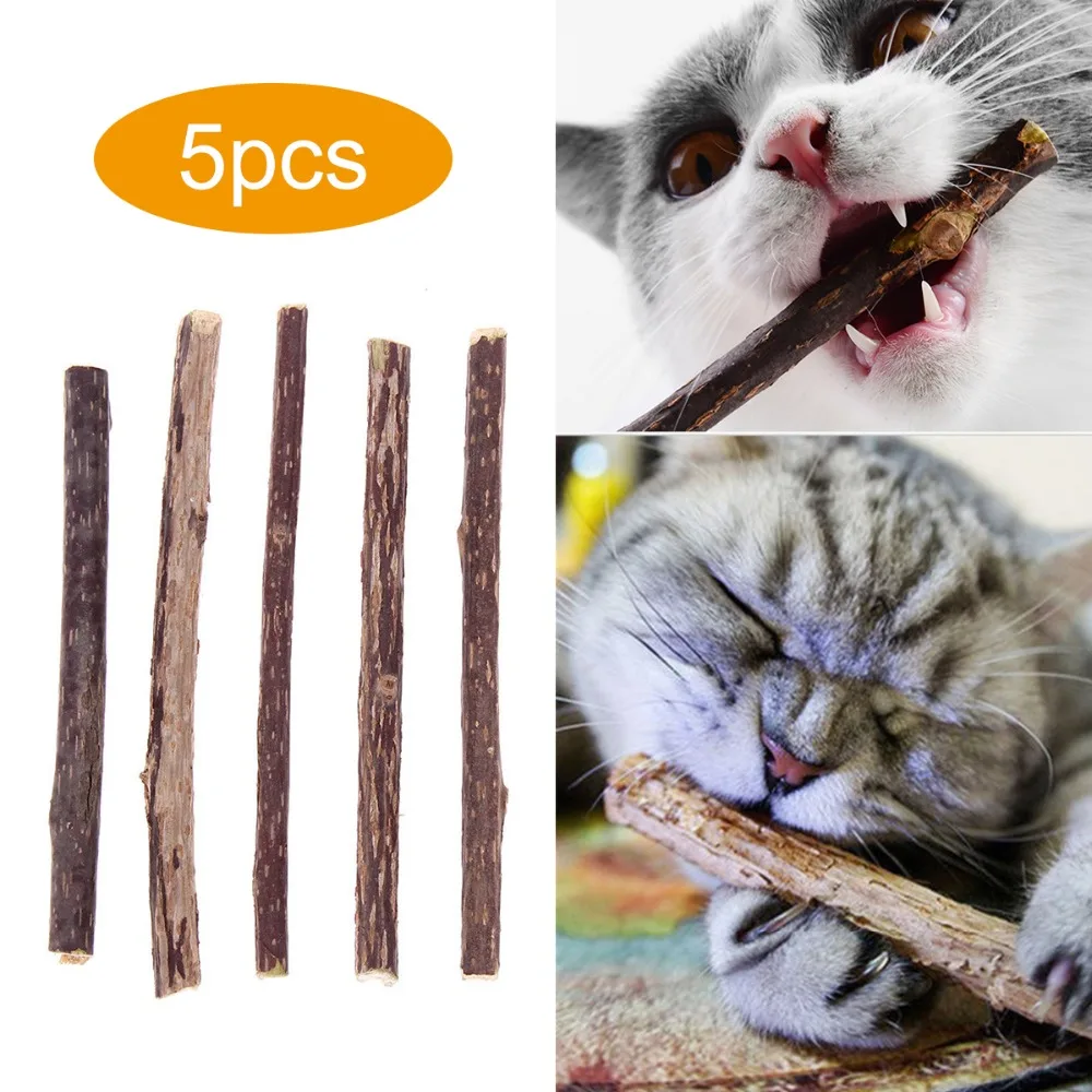 Buy 5pcs Pure Natural Catnip Pet Cat Molar Toothpaste