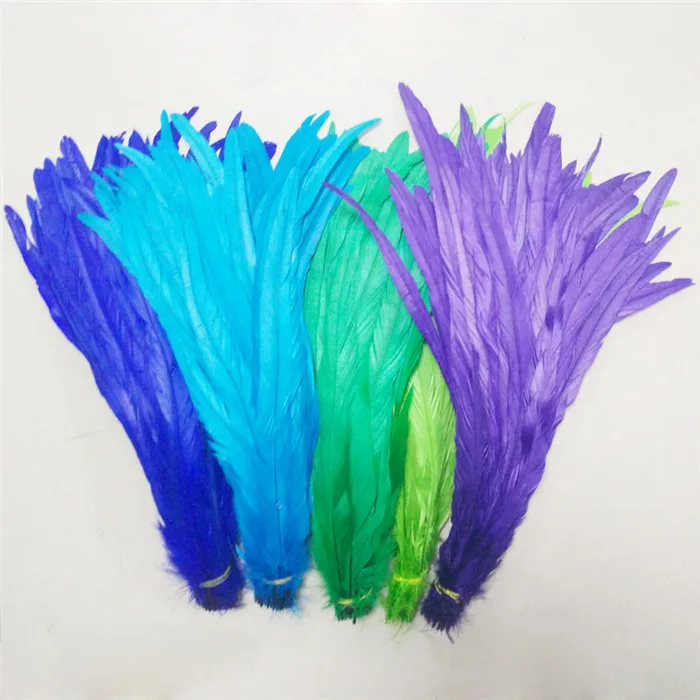 colors rooster tail feathers 2