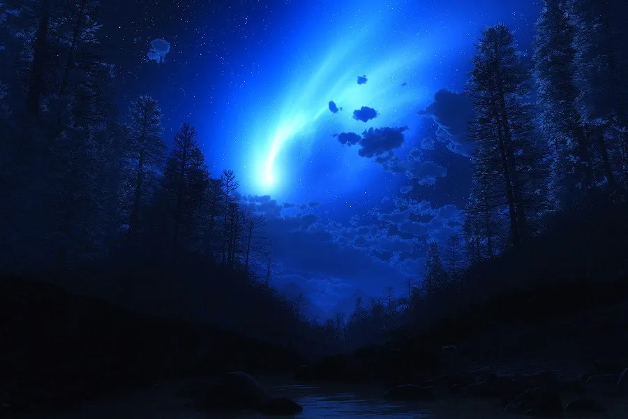 Лес днем и ночью. Красивые ночные пейзажи. Ночной сказочный лес. Ночное озеро. Дерево на фоне космоса.