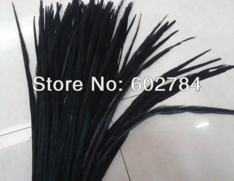 

Free Shipping 100PCS 50-55cm 20-22 inches Black dyed Pheasant tail feathers Dying ringneck pheasant feather