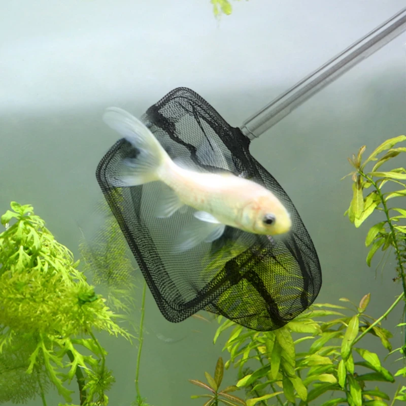 

Aquarium Cleaning Tools Fishing Handle Extendable Shrimp Small Betta Tetra Fish Tank Mesh Net Fish Aquatic Folding Landing Net