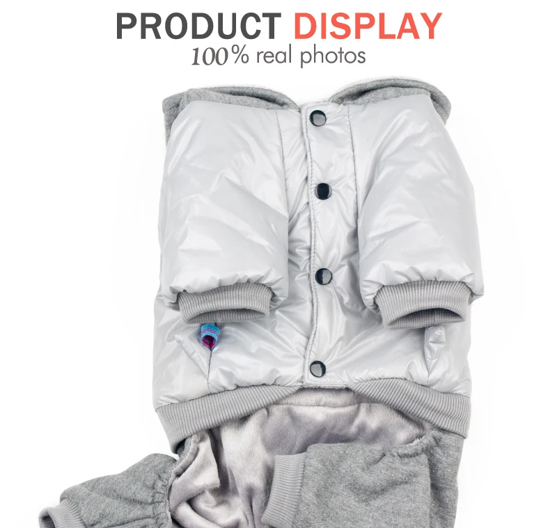 3 clothes for dogs for small dogs 