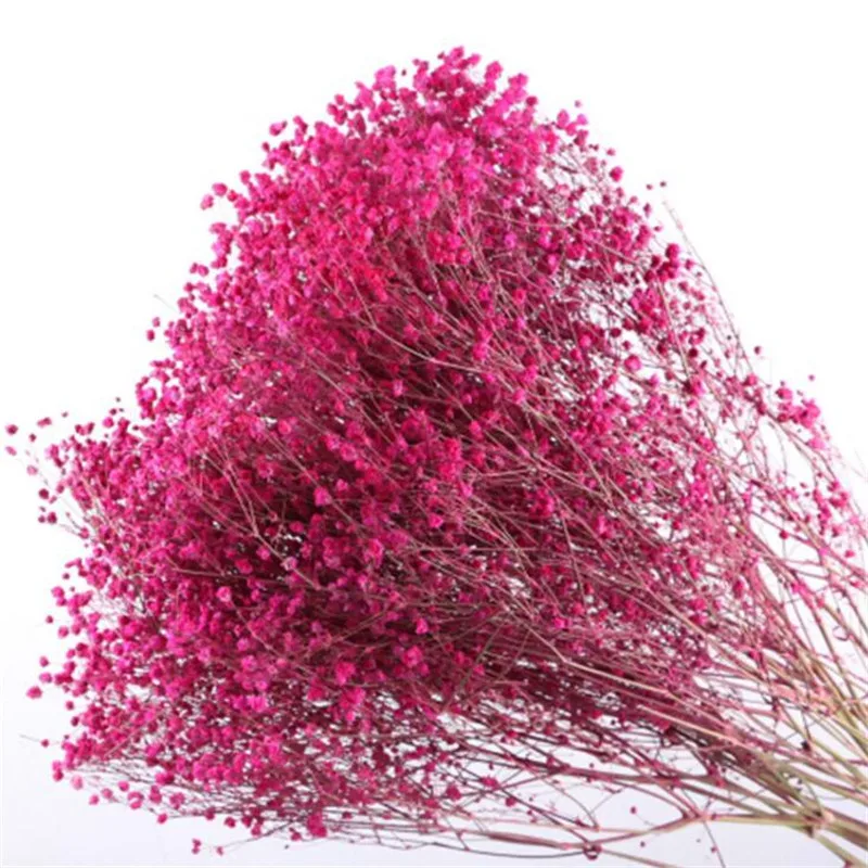 QQ截图20190408202644