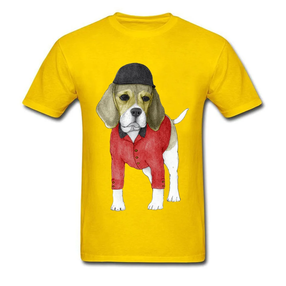 Beagle_yellow