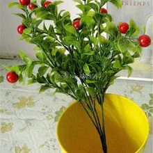 Один поддельные красная ягода фрукты искусственный эвкалипт для свадьбы цветок дома Рождество аксессуары