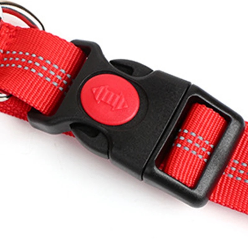 New Elastic Dog Traction Belt Rope Set Dog Leash Pet Run with Keeper Pets Sport Leash With Belt Free Hand Multifunctional Leash2