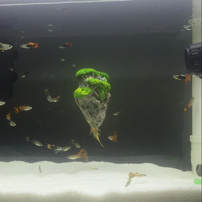 

4 pcs of resin simulation floating stone imitated fly stone with a fixing sucker for aquarium fish tank decorations