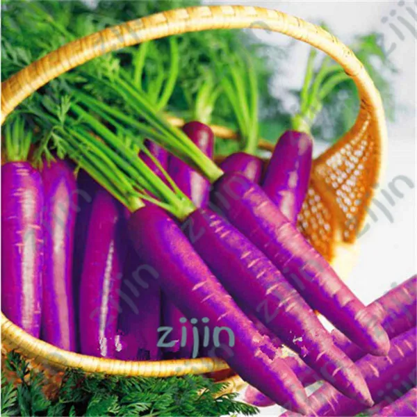 

300pcs mixed colors Carrot fresh vegetable High nutrition fruits and vegetables for home mini garden bonsai plants
