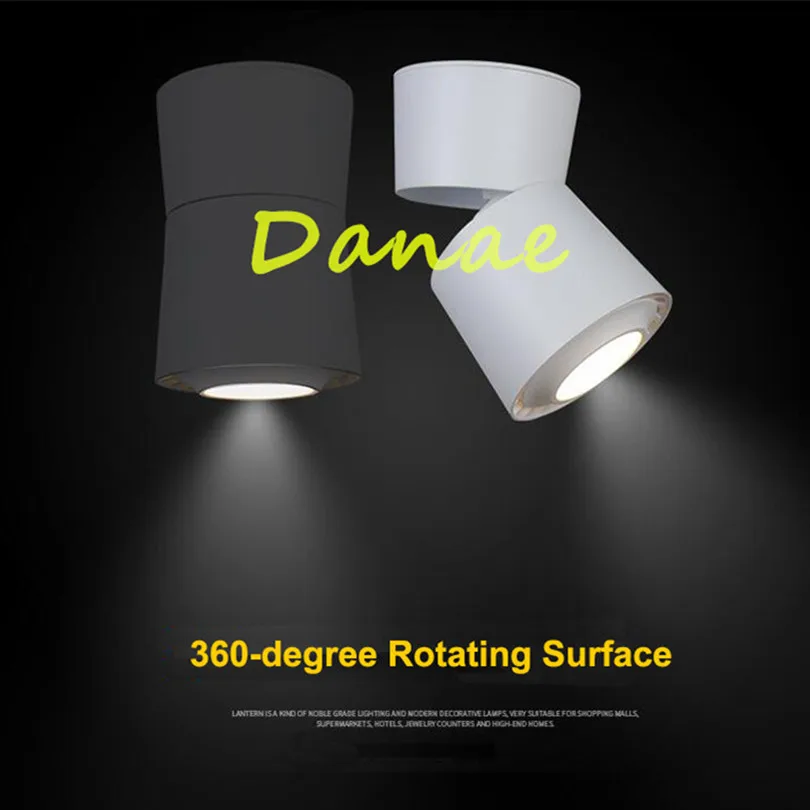 Danae 2