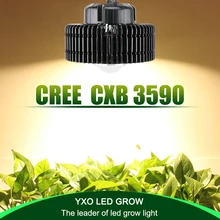 100 Вт CREE CXB3590 COB полный спектр светодиодный светильник для теплицы гидропоники для выращивания в помещении коммерческие медицинские растения для роста