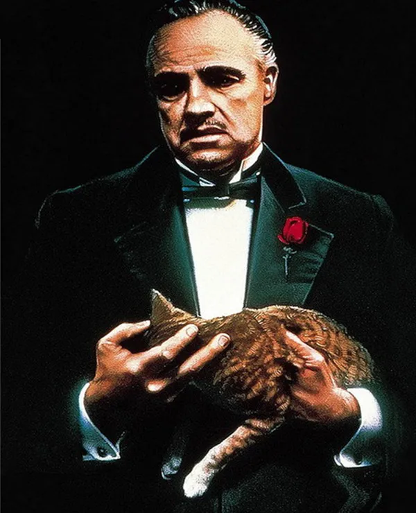 HTB1I5pDeoo09KJjSZFDq6z9npXal