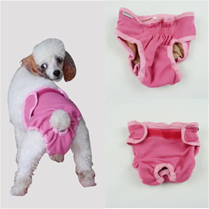 Female pet dog pants menstrual pants pet dogs protection pants diapers