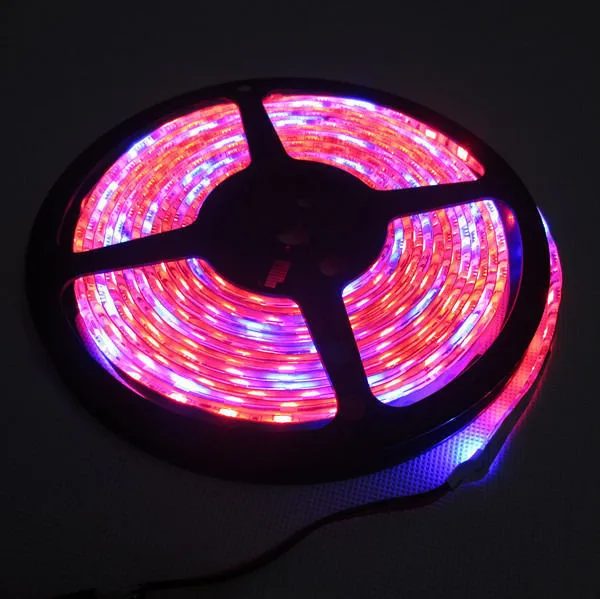 #cheap Grow Plants RedBlue=51 RedBlue=71 RedBlue=81 optional waterproof 60pcs m 5050 SMD LED Fill Aquarium Strip Light DC12V