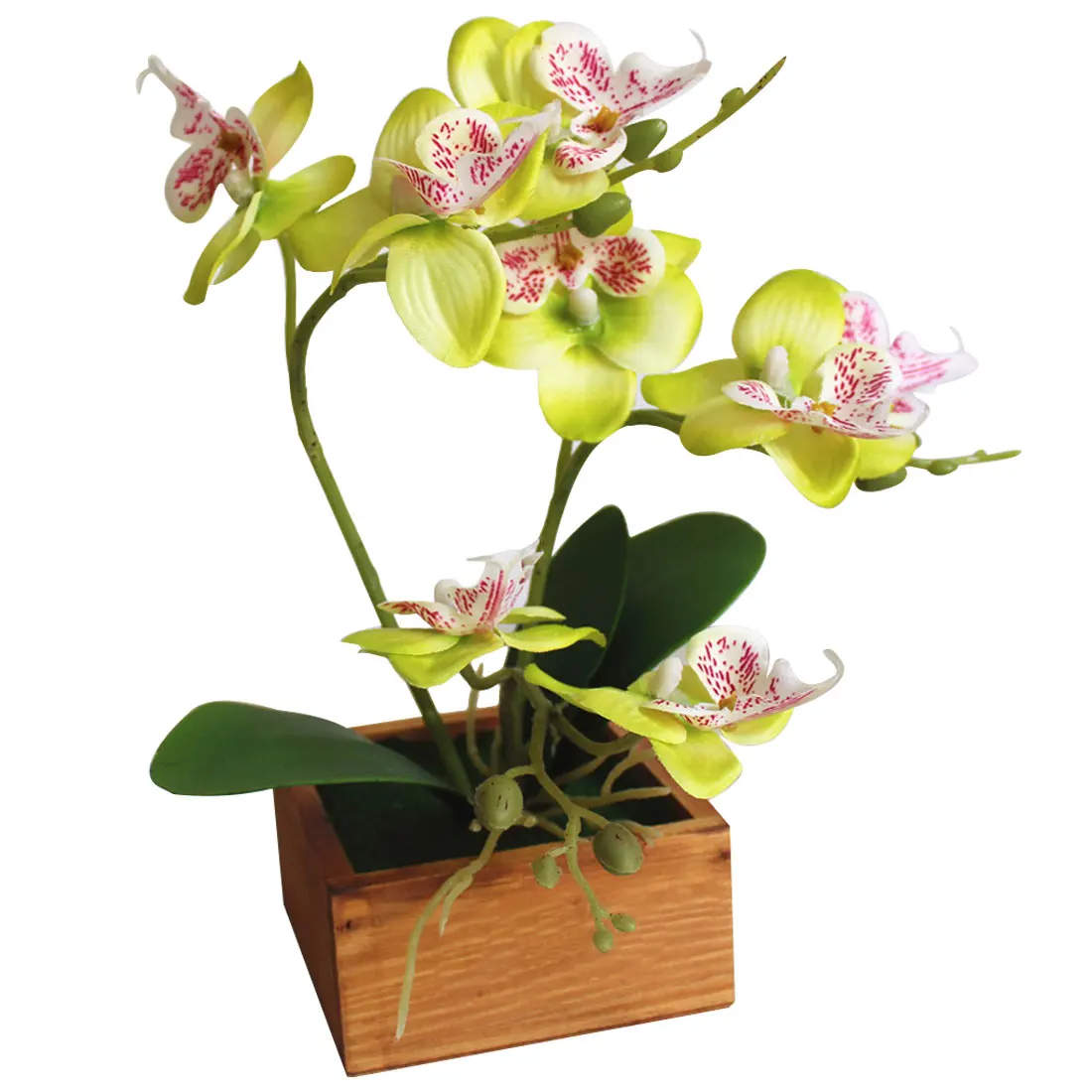 Бабочка Орхидея цветок настоящие на ощупь листья искусственные растения общий цветочный для свадьбы День Святого Валентина искусственный цветок ваза - Цвет: Green