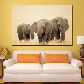 

wild animals elephants on dry grass KC516 Living room home wall modern art decor wood frame fabric posters