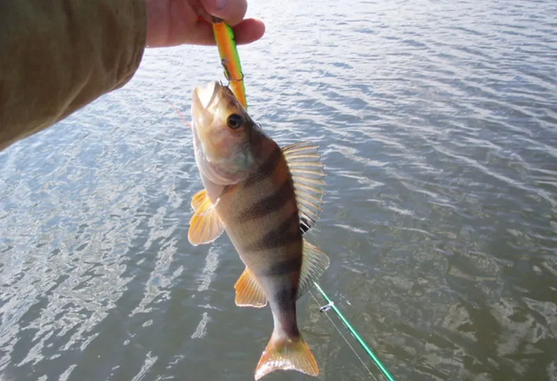 HTB1K42xMVXXXXaLXXXXq6xXFXXXk