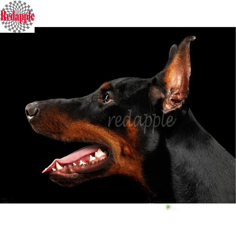 

DIY 5D Diamond Mosaic Dog 3d Diamond Painting Doberman Pinscher Cross Stitch Kits Diamond Embroidery animal Pattern Rhinestone