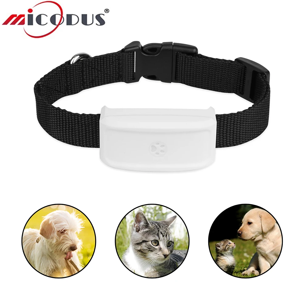 Mini GPS Tracker Hund Wasserdichte IP66 £ Wifi Kostenloser App  200