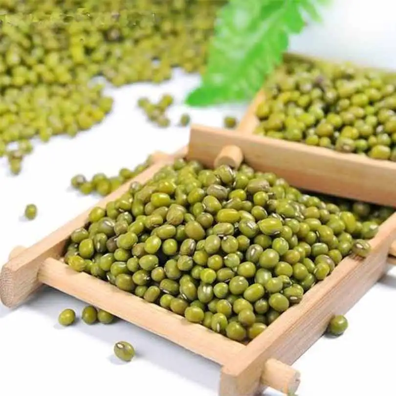 

Bonsai Mung bean seeds Mung beanPlant Green High-Nutrition Non-GMO Vegetable summer heat 50pcs