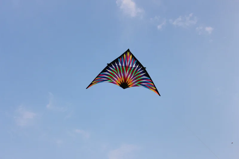 3809014022_1258532884