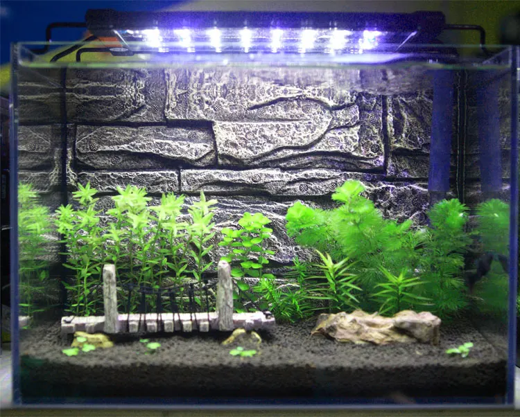 30-92 см 100-240 В аквариумный светодиодный светильник ing Fish Tank светильник с выдвижными кронштейнами белый и синий светодиодный s подходит для аквариума