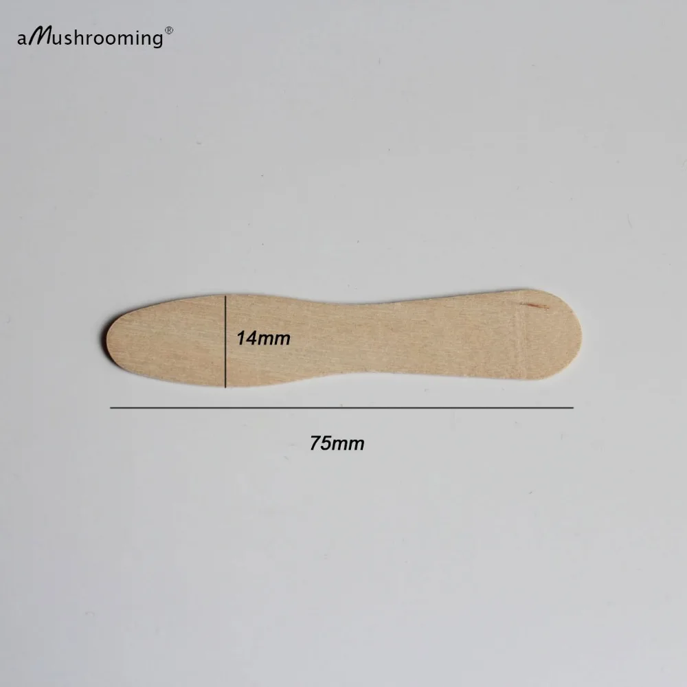 Ice Cream Scoop Natural Birch Wood Disposable Mini Spatulas Engrave for Lotion Cream Cosmetic