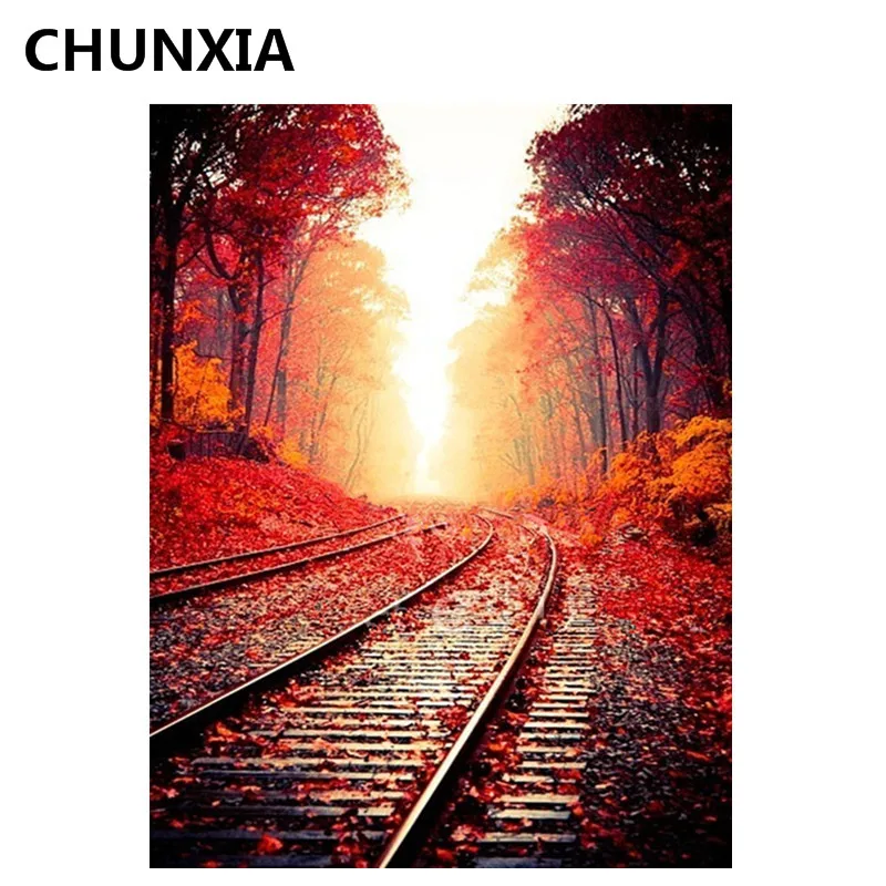 

CHUNXIA Painting By Numbers DIY Framed Oil Paint Pictures Wall Art Home Decor Unique Gift E911