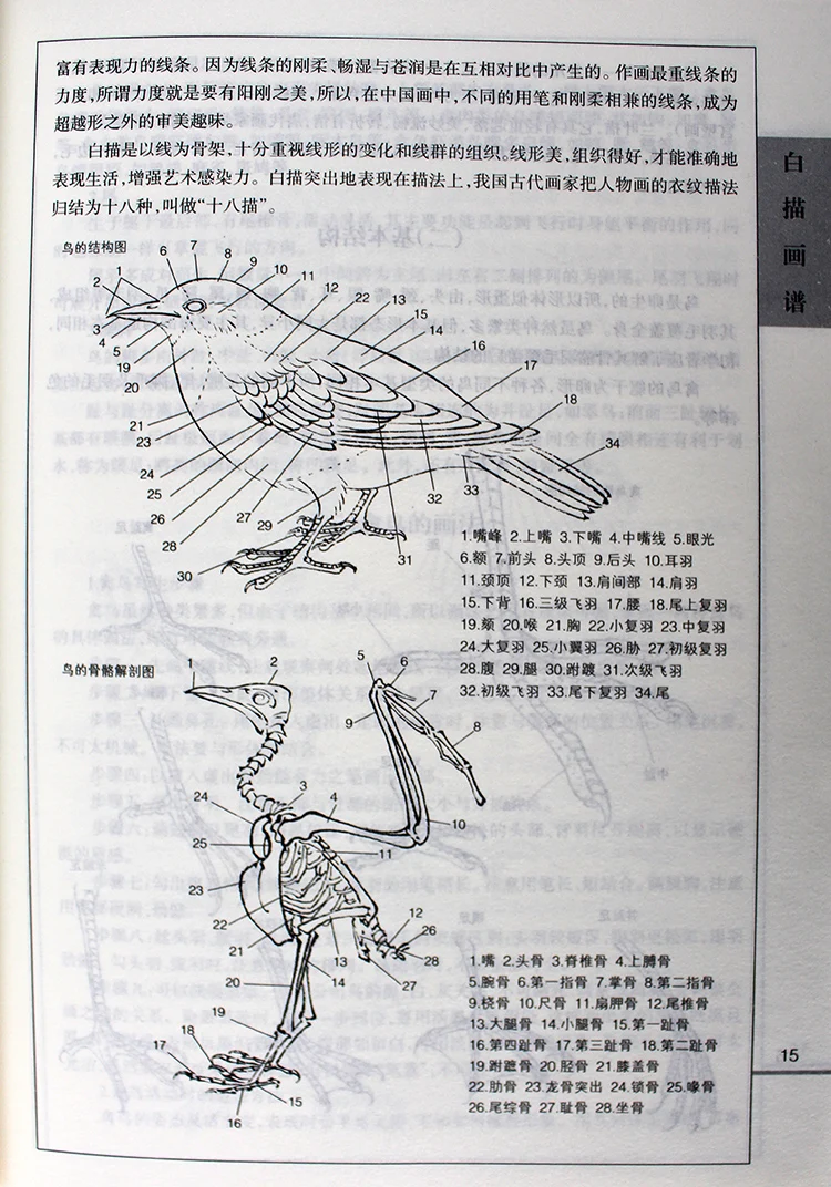 Китайское рисование линий художественная книга для начинающих китайская птица цветок пейзаж gongbing живопись книга тонкой кисти учебник