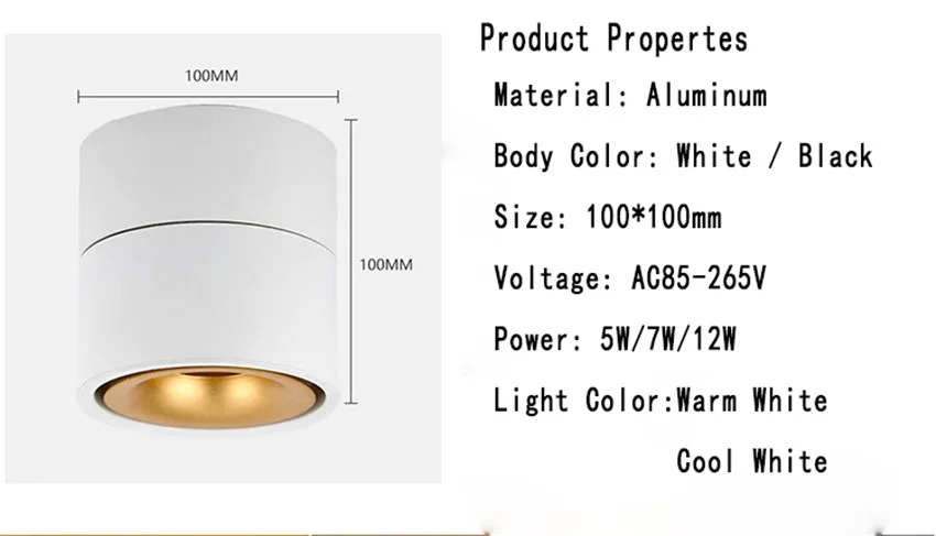 NR-54 Ceiling light  (12)