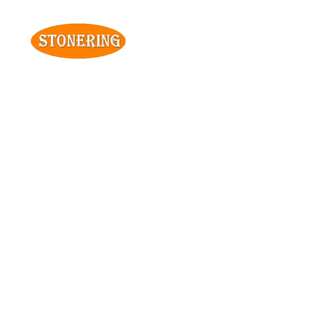 Stonering 2PCS Buzzer Speaker Loudspeaker Ringer For zte Blade A2 Plus BV0720 cell phone HIGH QUALITY ZW |
