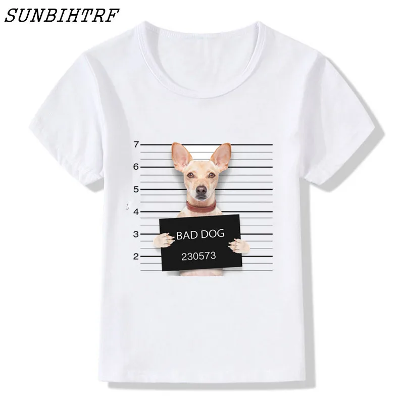 001 -  (283) -  - 