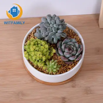 

Porcelain Deep Rounded Pot Desktop Pot Home Decor (1 Pot + 1 Tray) 1 Set Minimalist White Ceramic Succulent Plant Pot