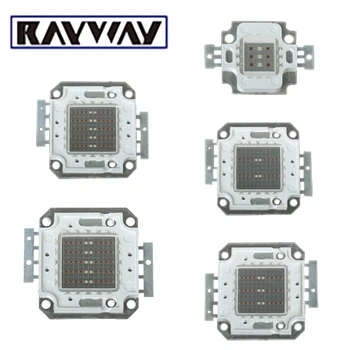 

RAYWAY LED Grow Light Chip Plants Growth Light Source Red 660nm Blue 460nm DIY Growing Light Bulb COB Chip 10W/20W/30W/50W