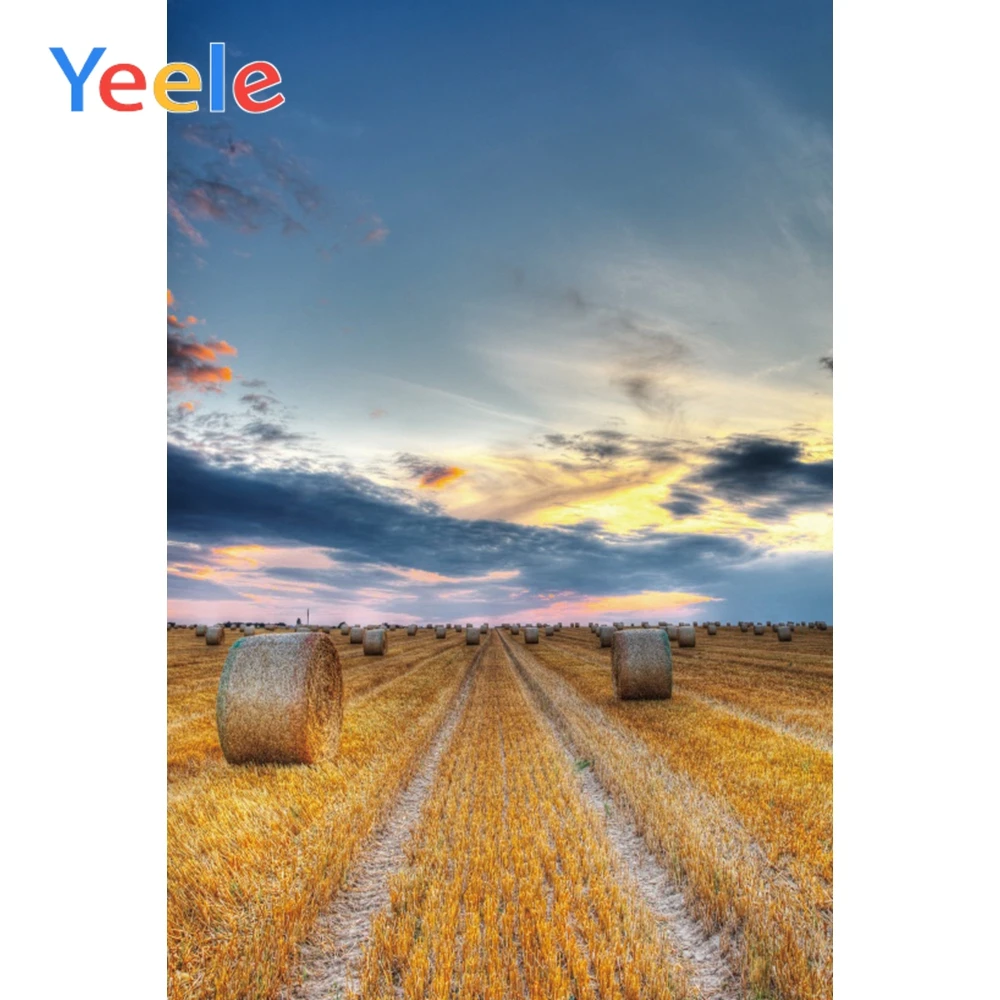 

Yeele Farm Harvest Posters Landscapes Scene Baby Portrait Photographic Background Seamless Photography Backdrop For Photo Studio