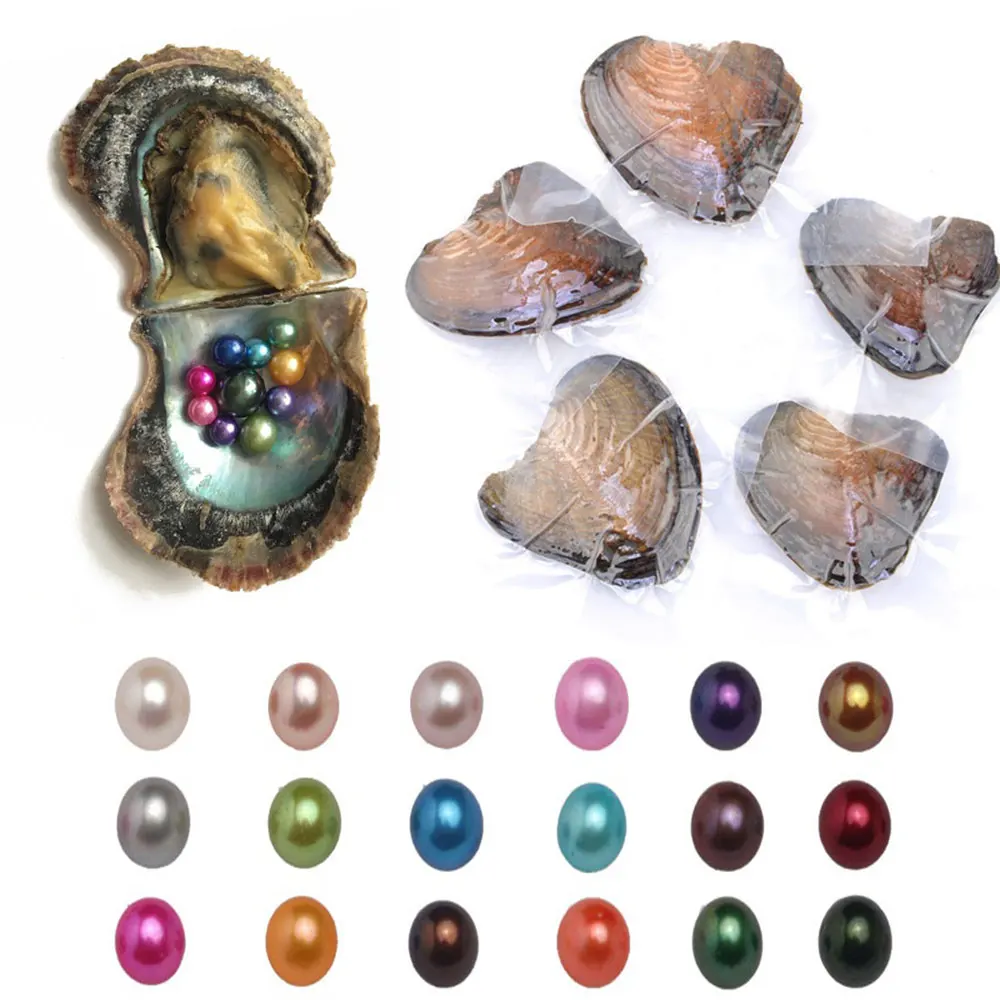 Подарки Сюрприз подарок номер 10 шт. оболочка жемчуга ювелирные изделия Гладкий Приятно удивленный устричный стиль Diy украшения Мода натуральный - Color: 20pcs pearls