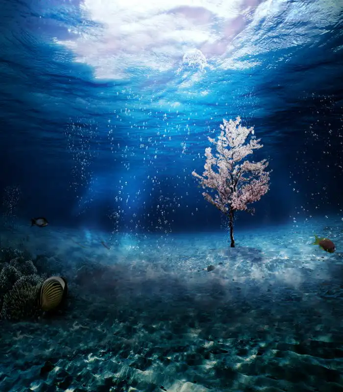 

TR Photo Backgrounds Backdrops Summer Under the Sea View Backdrop for Children Special Wedding Photo Booth Props Ocean Theme