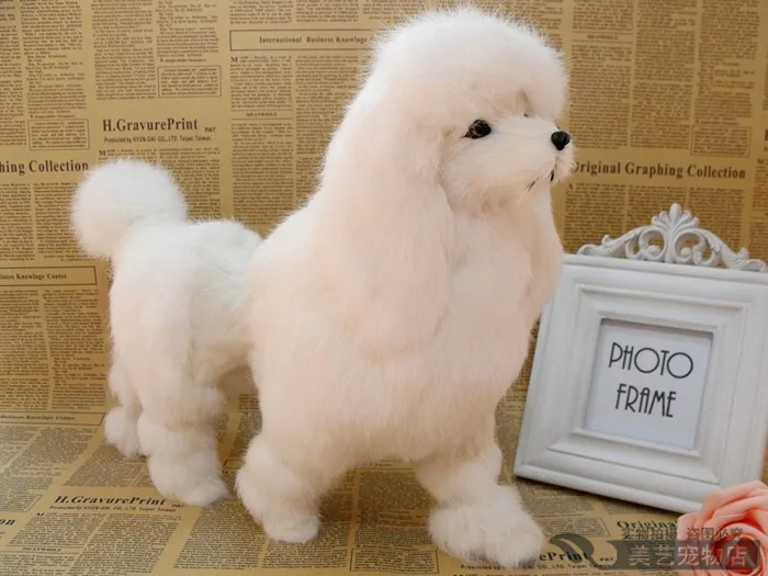 simulation-poodle-toy-dog-36x12x30cm-toy-model-polyethylene-furs-dog-model-home-decoration-props-model-gift-d144