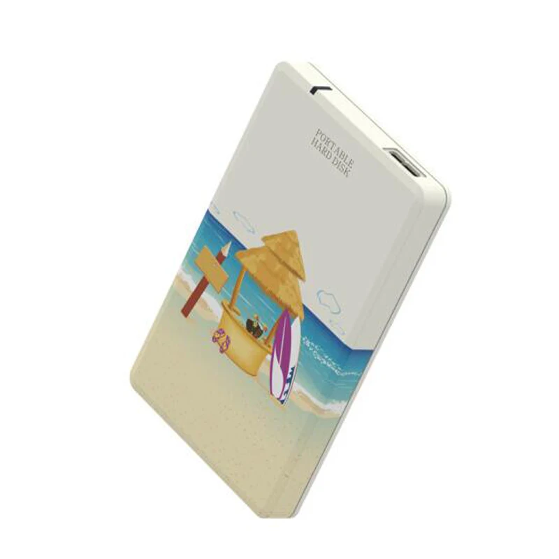 Hot sell portable 100 HDD 1TB Hard disk USB 3 0 Externo Disco HD Disk Storage 5