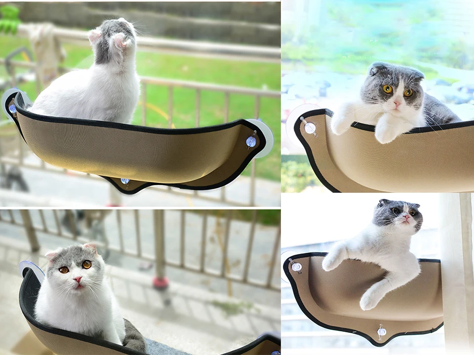 X8