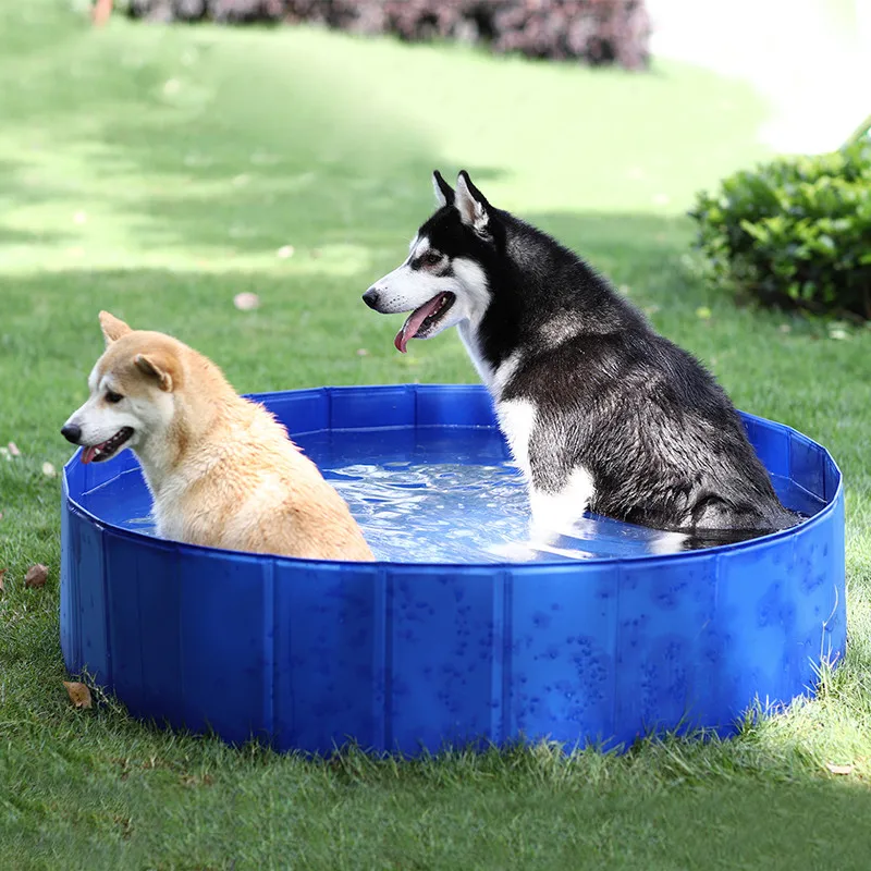 Быстрая складная кровать для собак, плаванья, водостойкая, ПВХ, летний бассейн