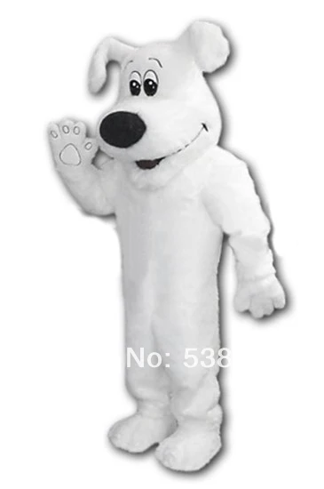 white dog outfit
