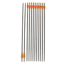Outdoor Shooting Arrow Bow762mm Shooting Archery Fiberglass Arrows with Changeable Arrowheads and Plastic Feathers for Hunting